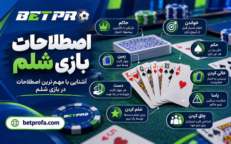 اصطلاحات بازی شلم